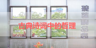 古典诗词中的哲理 