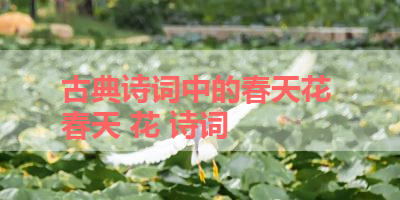古典诗词中的春天花 春天 花 诗词
