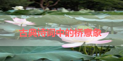 古典诗词中的桥意象 
