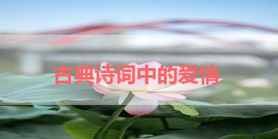 古典诗词中的爱情 