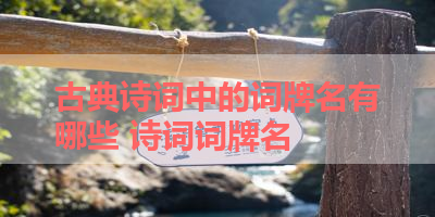 古典诗词中的词牌名有哪些 诗词词牌名