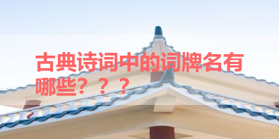 古典诗词中的词牌名有哪些？？？ 