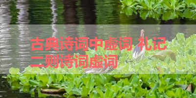 古典诗词中虚词 礼记二则诗词虚词