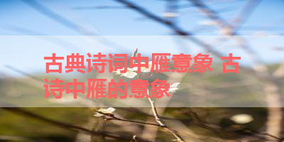 古典诗词中雁意象 古诗中雁的意象
