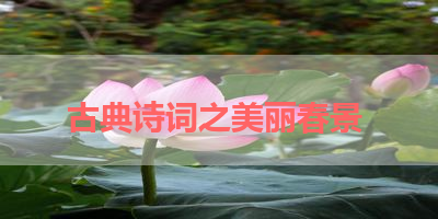 古典诗词之美丽春景 