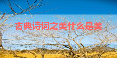 古典诗词之美什么是美 