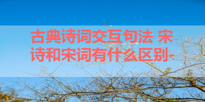 古典诗词交互句法 宋诗和宋词有什么区别- 