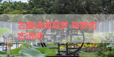 古典诗词写梦 写梦的古诗词 