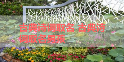 古典诗词取名 古典诗词取名男孩