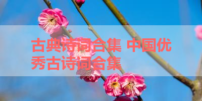 古典诗词合集 中国优秀古诗词合集 