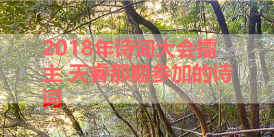 2018年诗词大会擂主 天睿那期参加的诗词