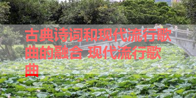古典诗词和现代流行歌曲的融合 现代流行歌曲