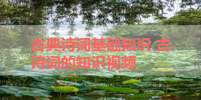 古典诗词基础知识 古诗词的知识视频