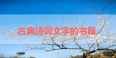 古典诗词文字的书籍 