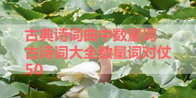 古典诗词曲中数量词 古诗词大全数量词对仗50 