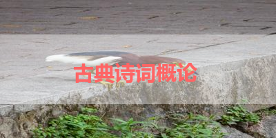 古典诗词概论 
