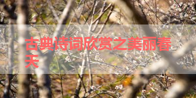 古典诗词欣赏之美丽春天 