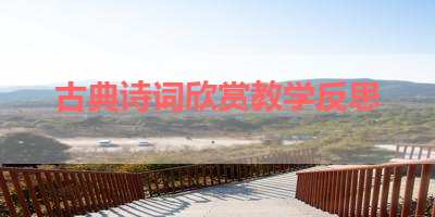 古典诗词欣赏教学反思 