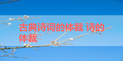 古典诗词的体裁 诗的体裁