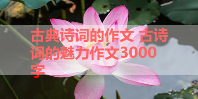 古典诗词的作文 古诗词的魅力作文3000字 
