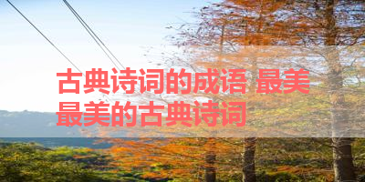 古典诗词的成语 最美最美的古典诗词
