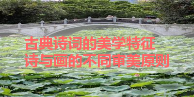 古典诗词的美学特征 诗与画的不同审美原则