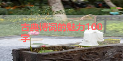古典诗词的魅力100字 