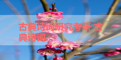 古典诗词研究考研 古典诗词