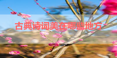 古典诗词美在哪些地方 
