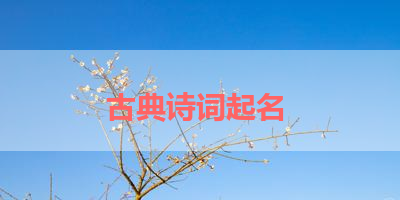 古典诗词起名 
