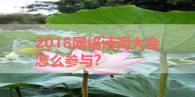 2018网络诗词大会怎么参与？ 