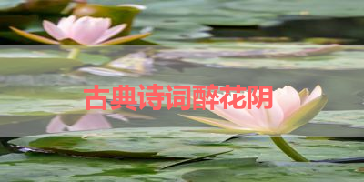 古典诗词醉花阴 