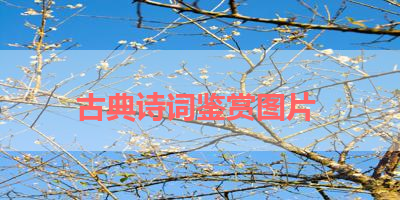 古典诗词鉴赏图片 