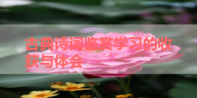 古典诗词鉴赏学习的收获与体会 