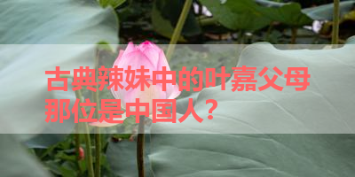 古典辣妹中的叶嘉父母那位是中国人？ 
