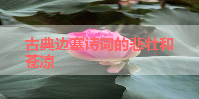 古典边塞诗词的悲壮和苍凉 