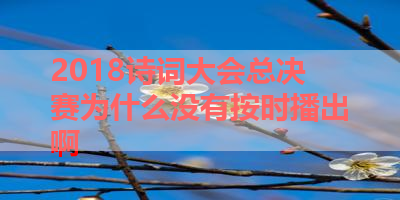 2018诗词大会总决赛为什么没有按时播出啊 