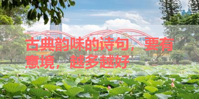 古典韵味的诗句，要有意境，越多越好 