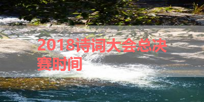 2018诗词大会总决赛时间 