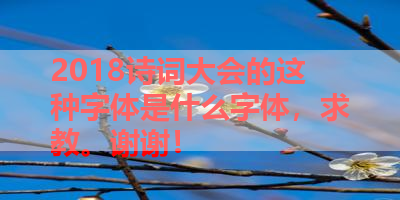 2018诗词大会的这种字体是什么字体，求教。谢谢！ 