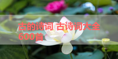 古的诗词 古诗词大全600首 