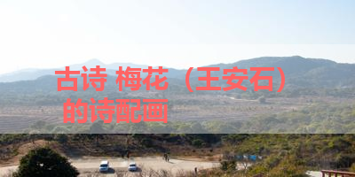 古诗 梅花（王安石） 的诗配画 