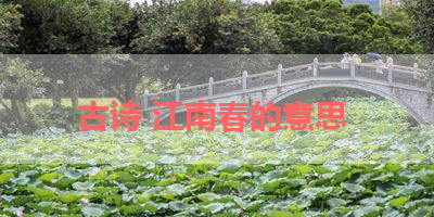古诗 江南春的意思 
