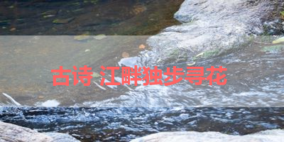 古诗 江畔独步寻花 