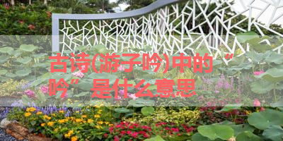古诗(游子吟)中的“吟”是什么意思 