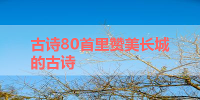 古诗80首里赞美长城的古诗 