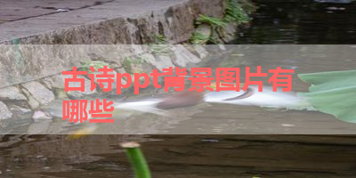 古诗ppt背景图片有哪些 