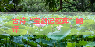 古诗“宝剑记夜奔”翻译 