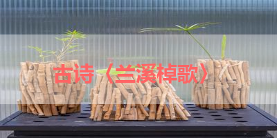 古诗〈兰溪棹歌〉 