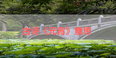 古诗《元宵》意思 